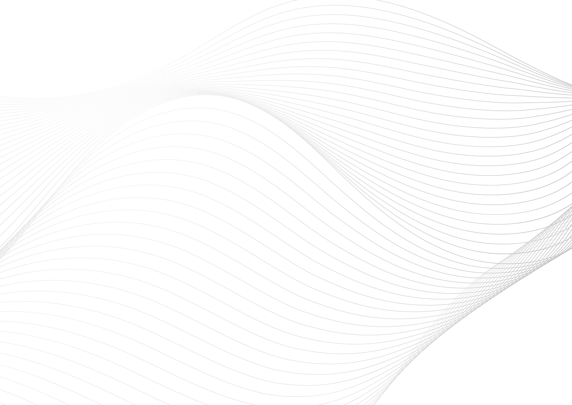 Web Site Tasarımcısı, Tavşanlı